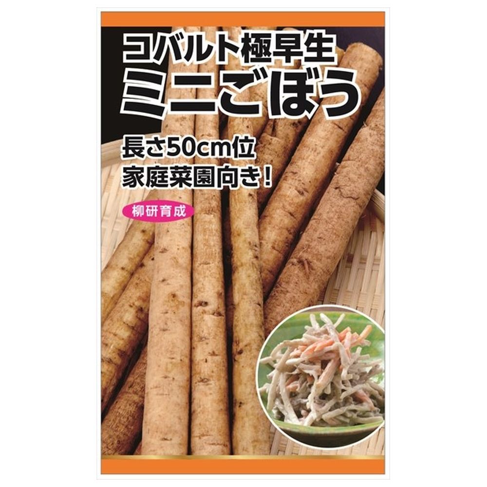 ごぼう コバルト極早生 