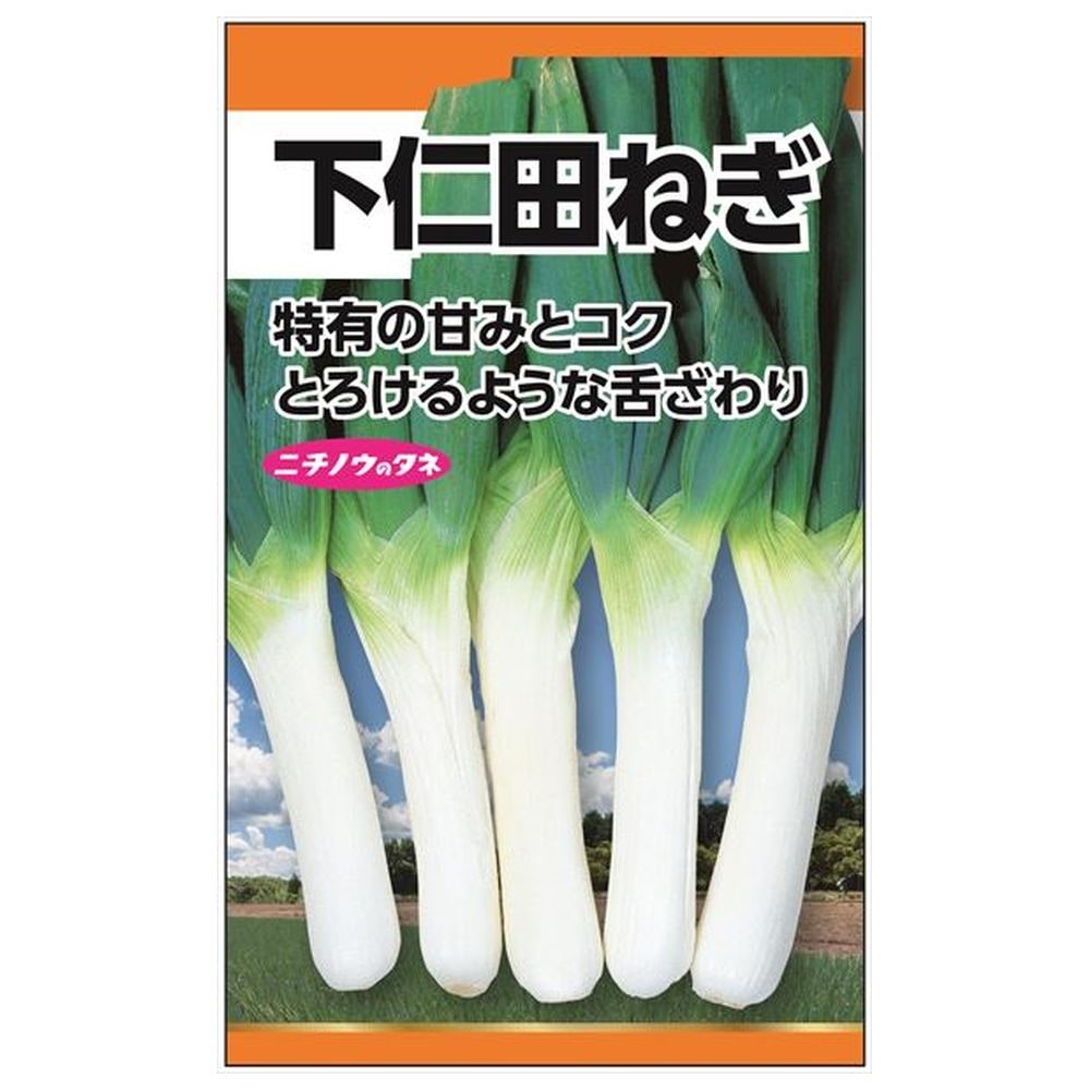 ねぎ 下仁田ねぎ 