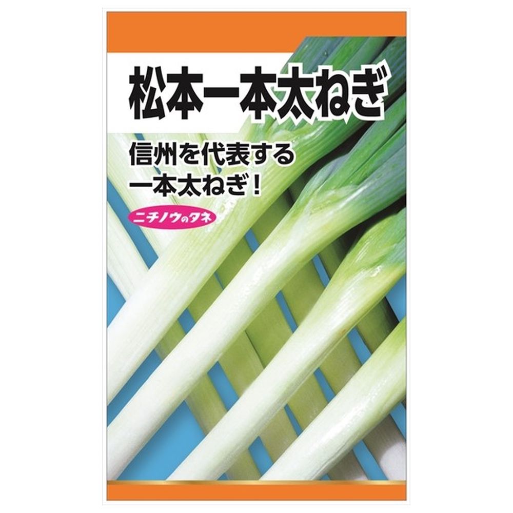 ねぎ 松本一本ねぎ 