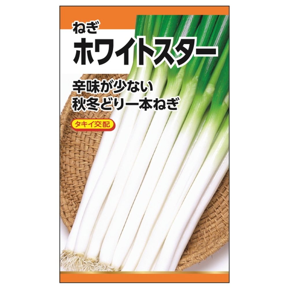 ねぎ ホワイトスター 