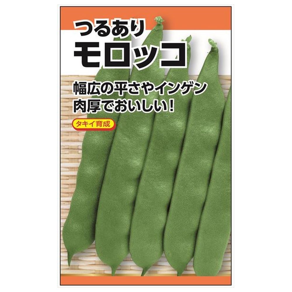 いんげん つるありモロッコ 