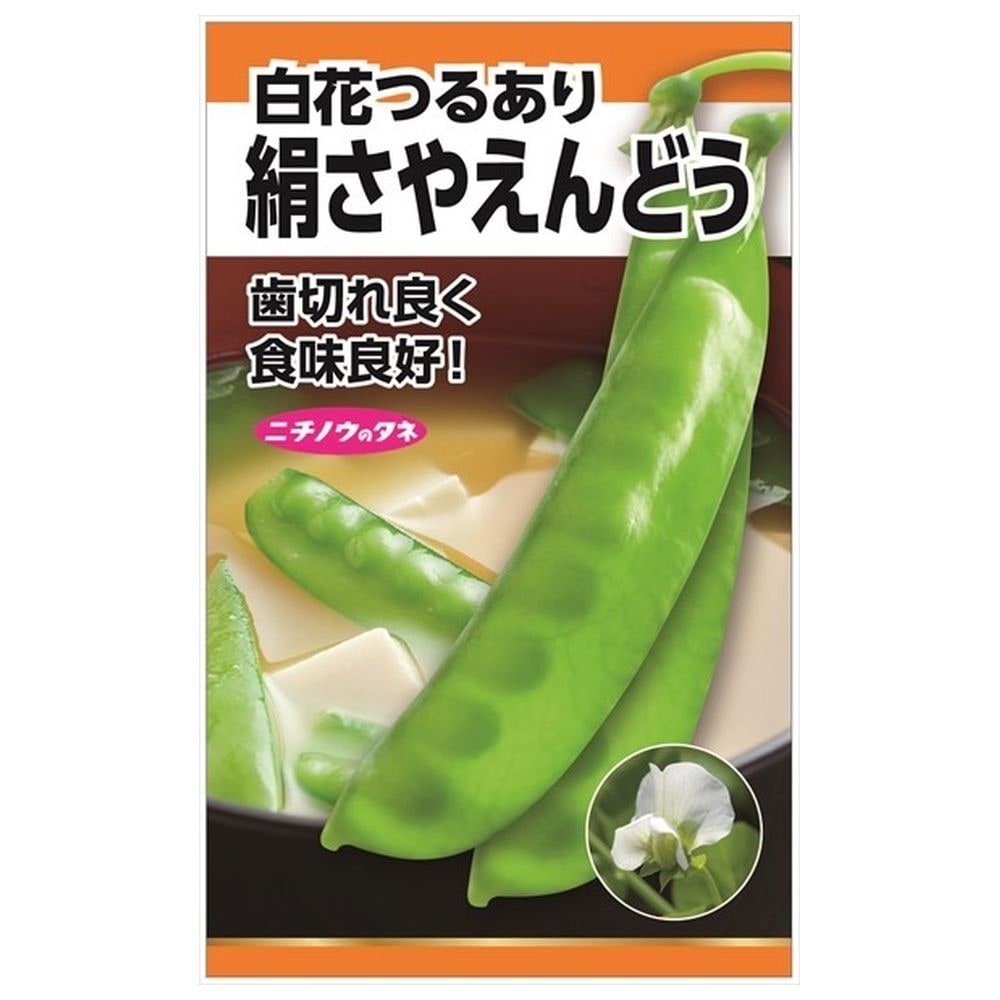 えんどう 白花絹さやえんどう(つるあり) 