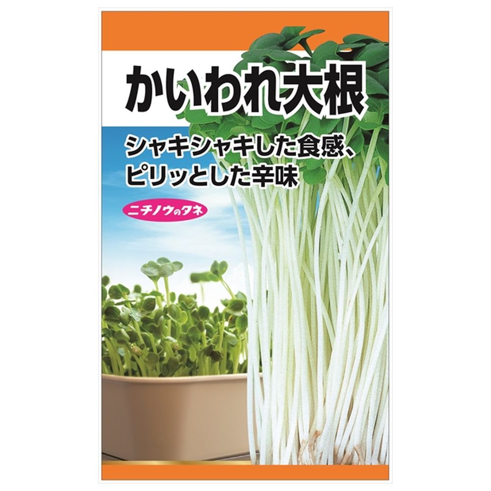 大根 かいわれ大根 