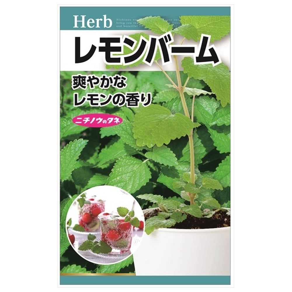 レモンバーム レモンバーム 