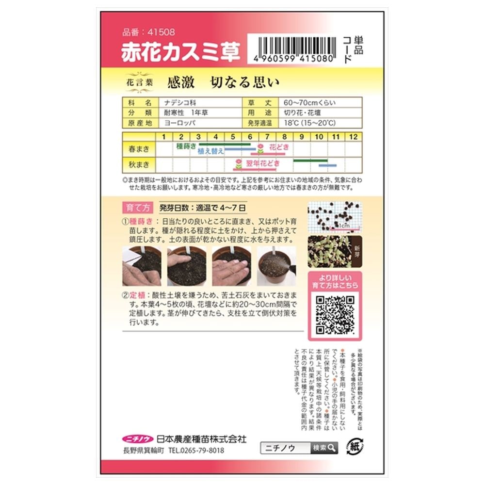 カスミソウ 赤花かすみそうの通販 苗木部 By 花ひろばオンライン