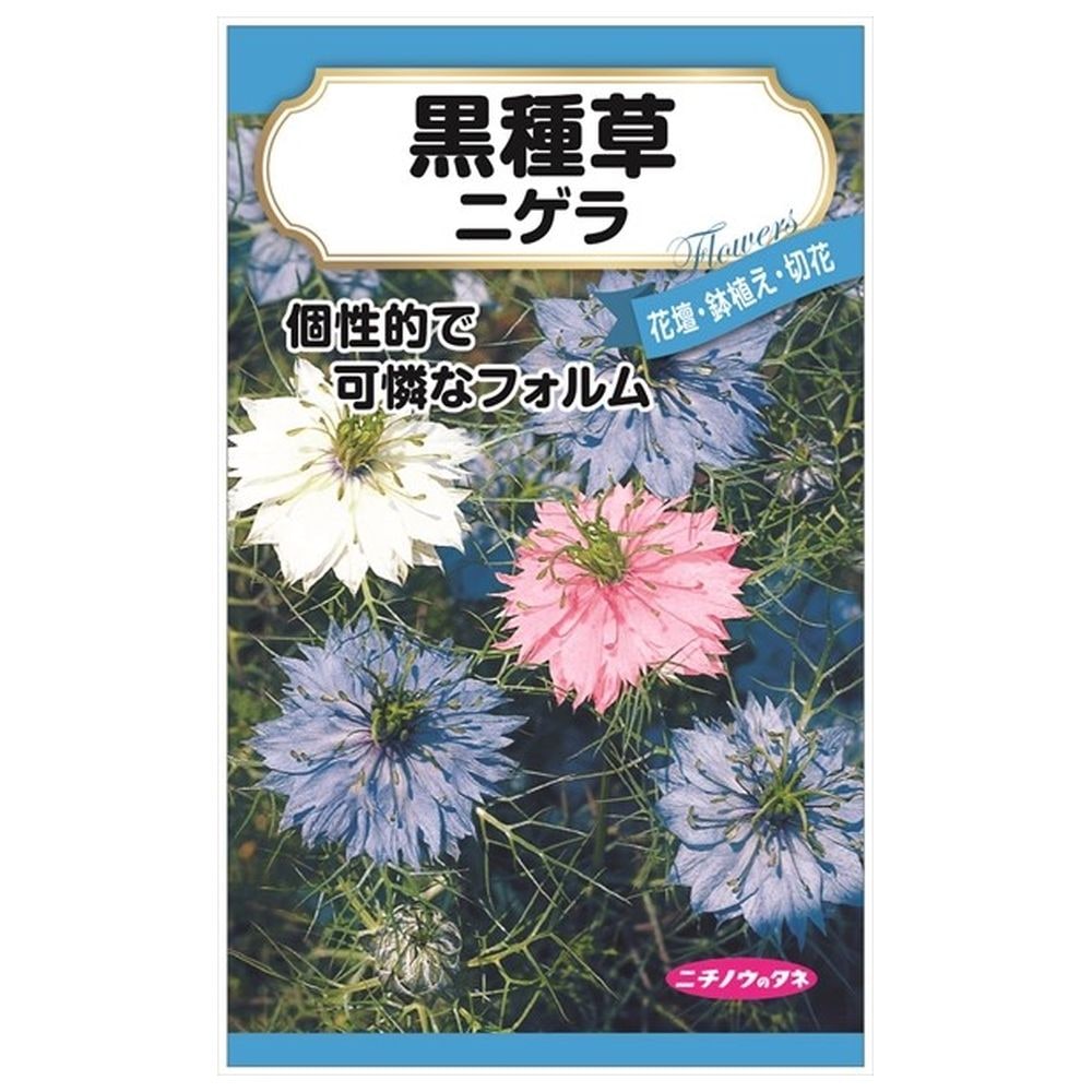 ニゲラ 黒種草 