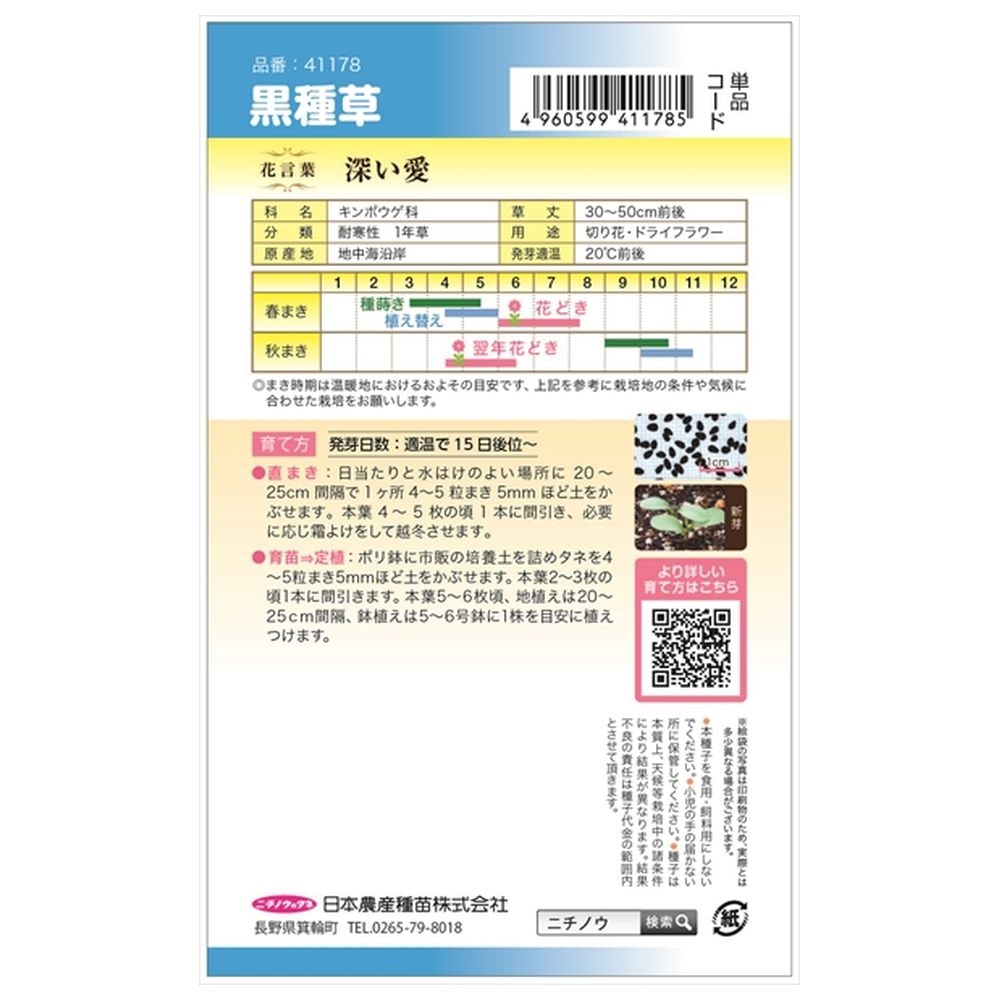 ニゲラ 黒種草 1