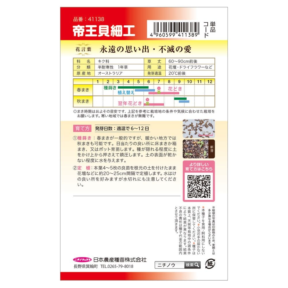 ヘリクリサム 帝王貝細工 1