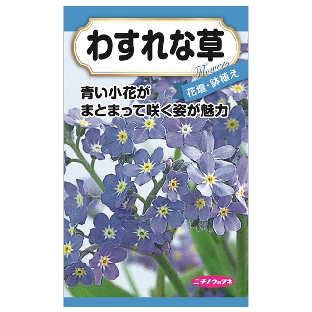 わすれな草の通販 苗木部 By 花ひろばオンライン