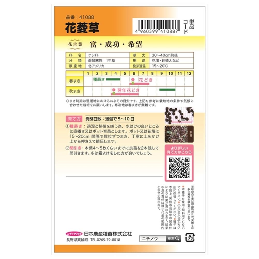 ハナビシソウ 花菱草 1