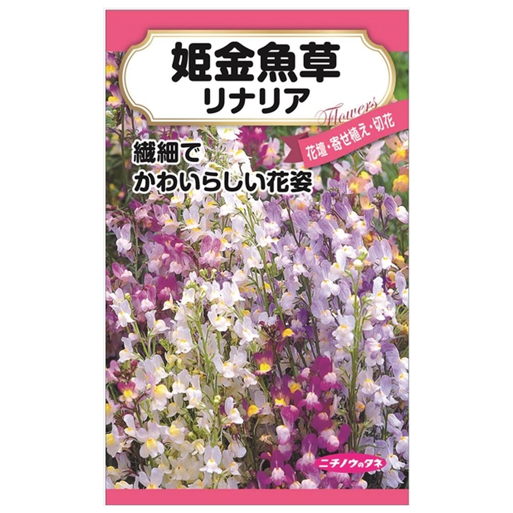 リナリア 姫金魚草 