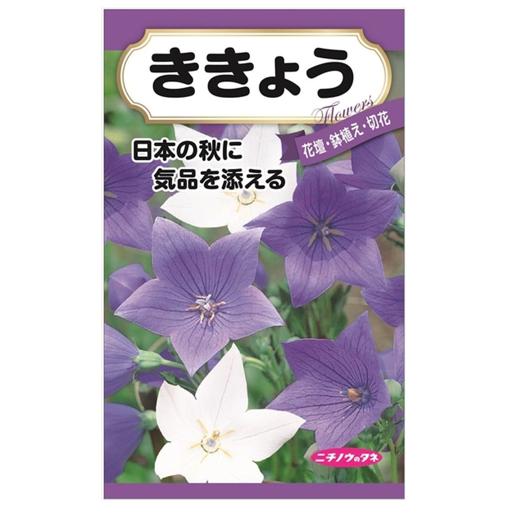 桔梗の通販 苗木部 By 花ひろばオンライン