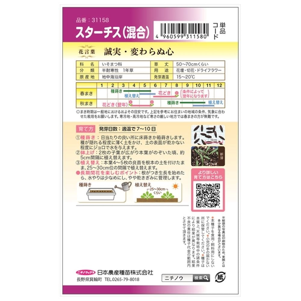 スターチス スターチス 1