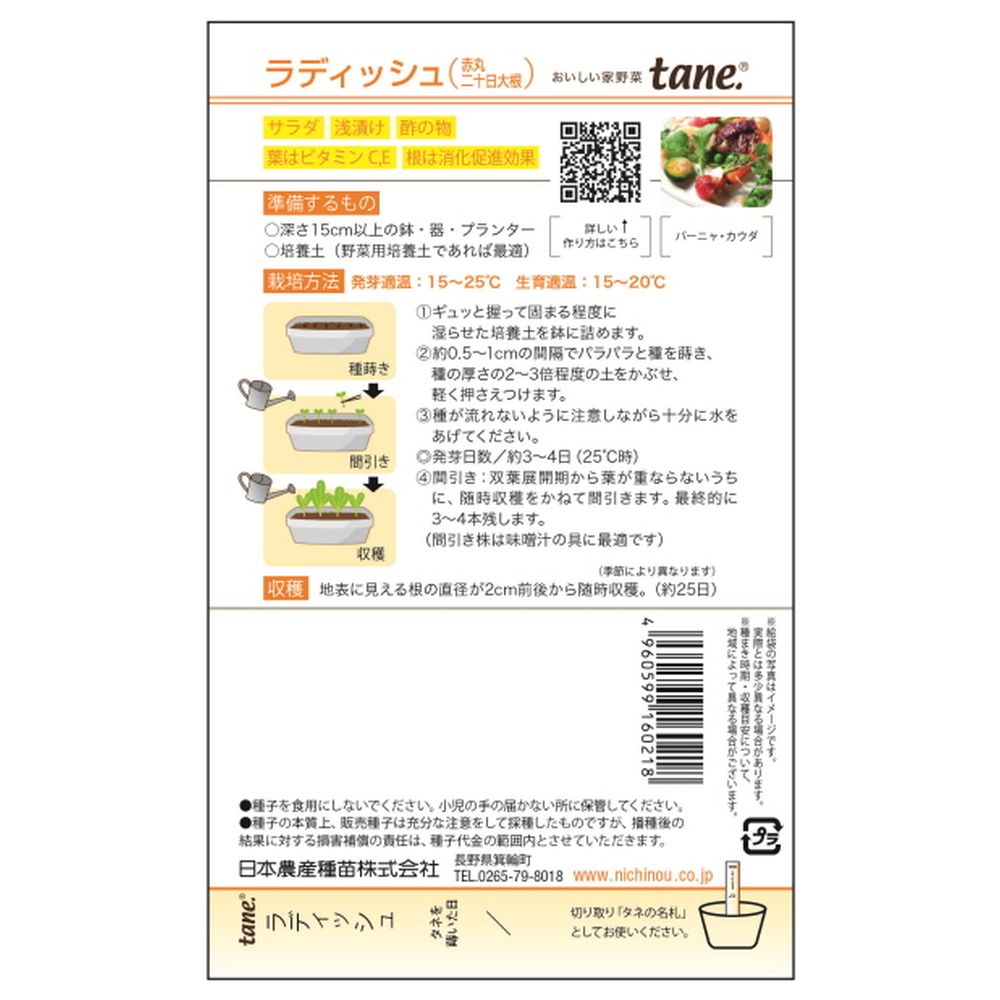 ラディッシュ 赤丸二十日大根 1