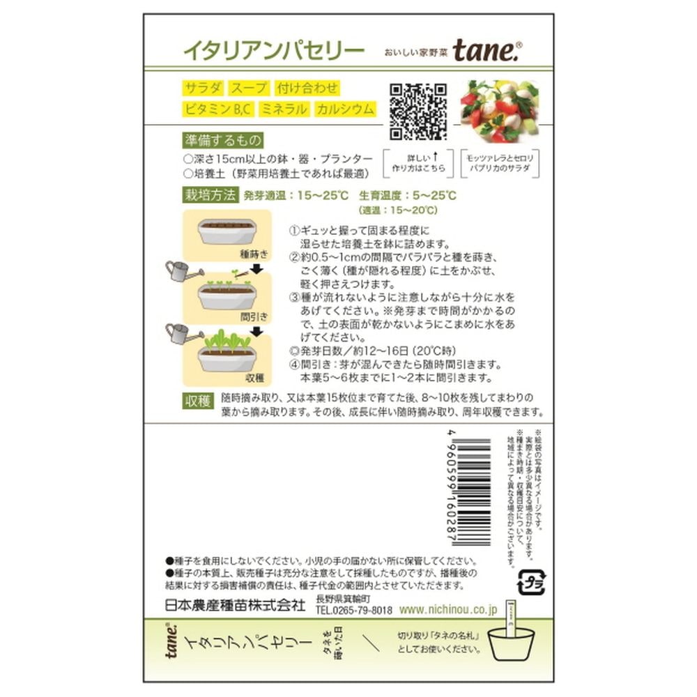 パセリ イタリアンパセリ 1