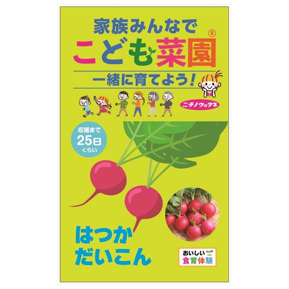 ラディッシュ こども菜園 はつかだいこん 