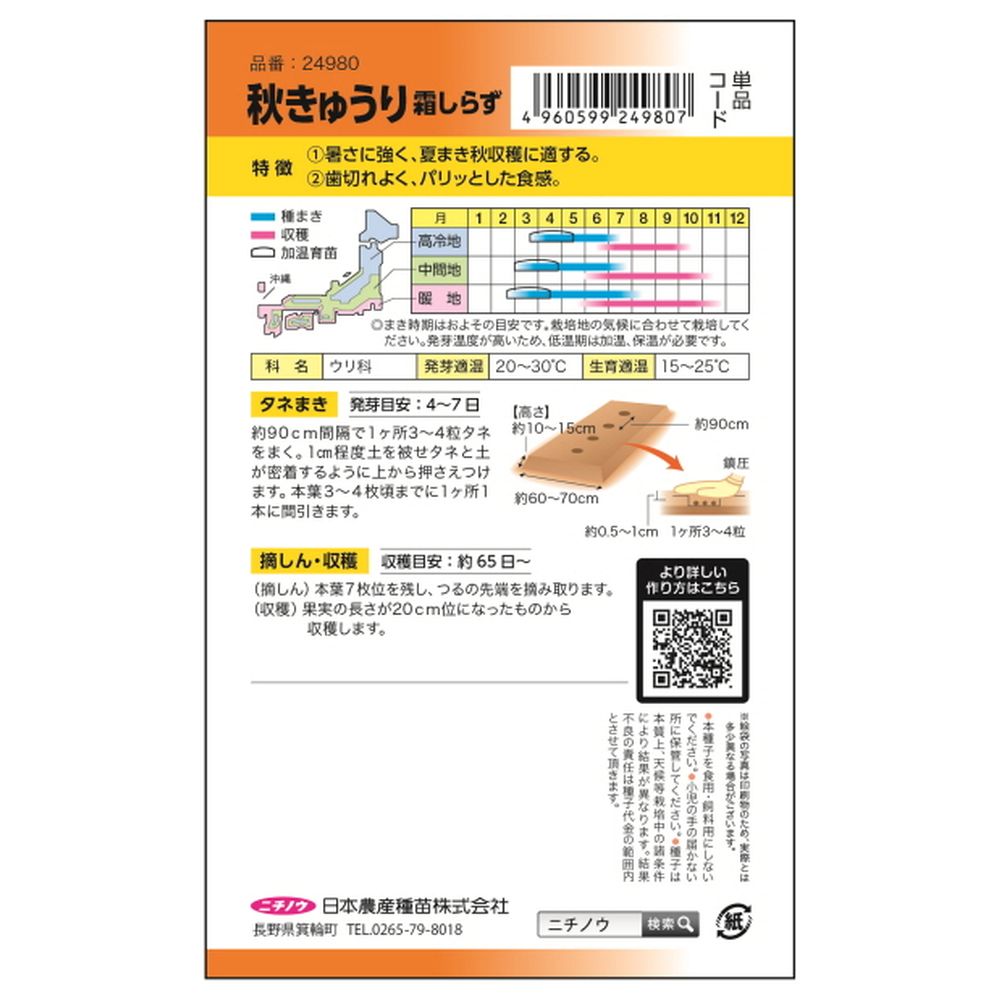 きゅうり 秋きゅうり(霜しらず) 1