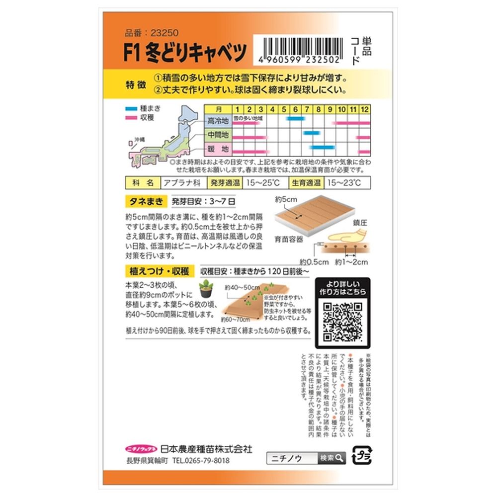 キャベツ F1冬どりキャベツ 1