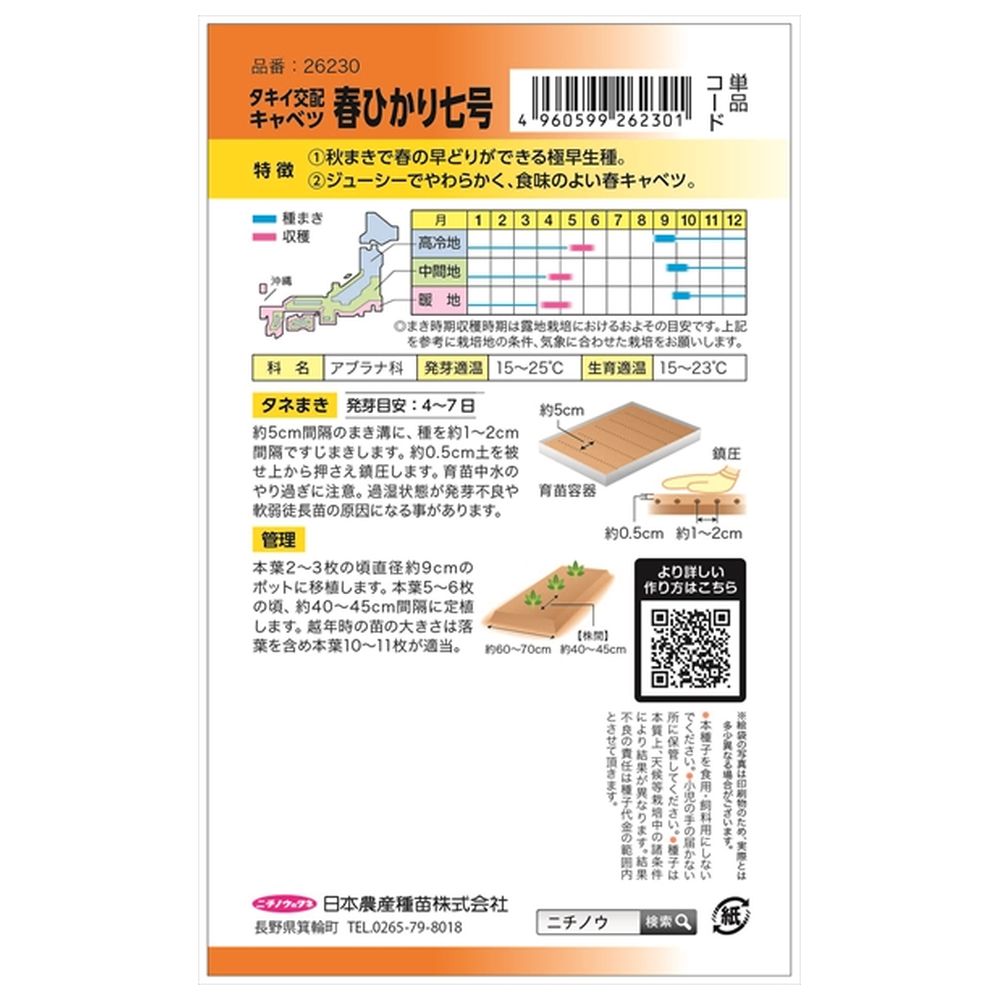 キャベツ 春ひかり七号 1