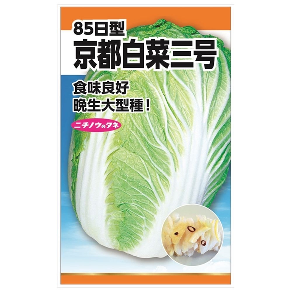 白菜 京都白菜三号(85日型) 