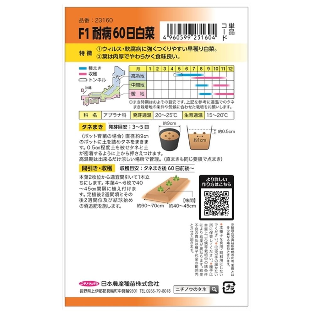 白菜 F1耐病60日白菜 1