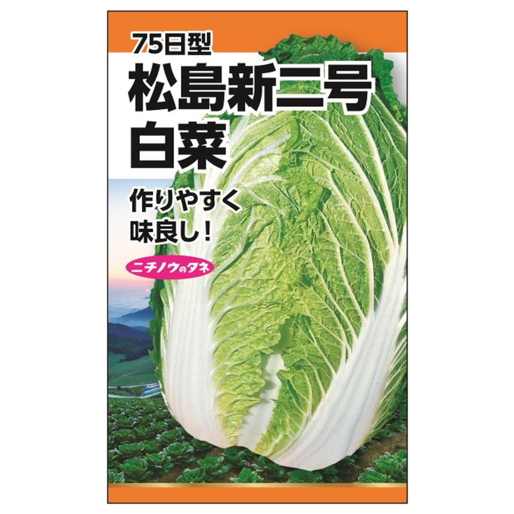 白菜 松島新二号白菜(75日型) 