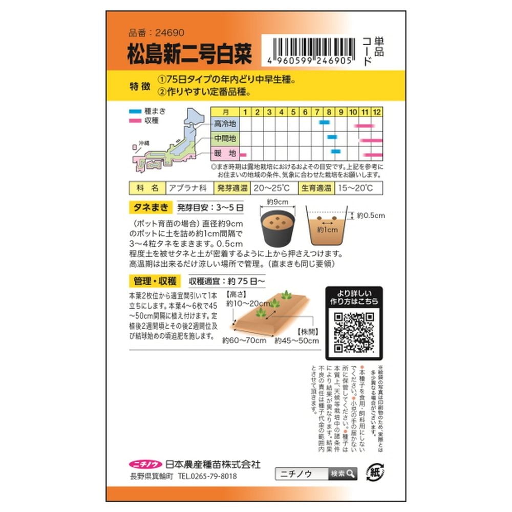 白菜 松島新二号白菜(75日型) 1