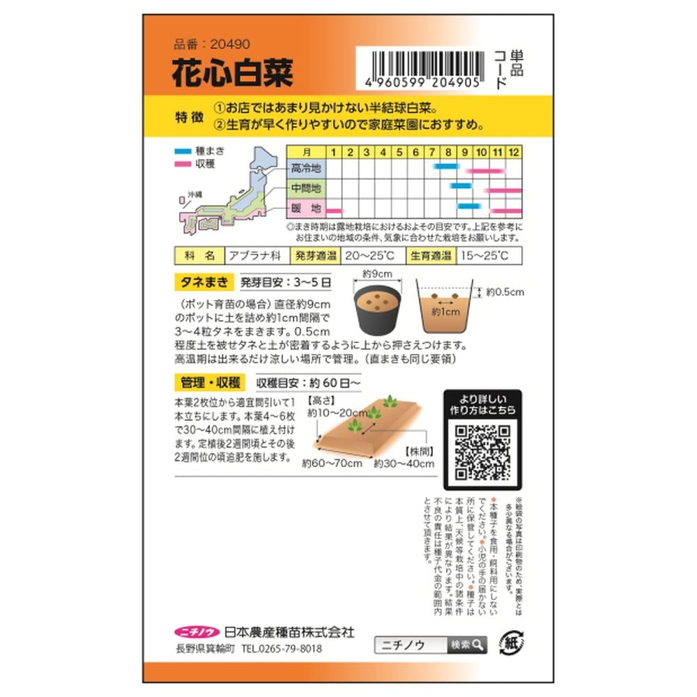 白菜 花心白菜 1