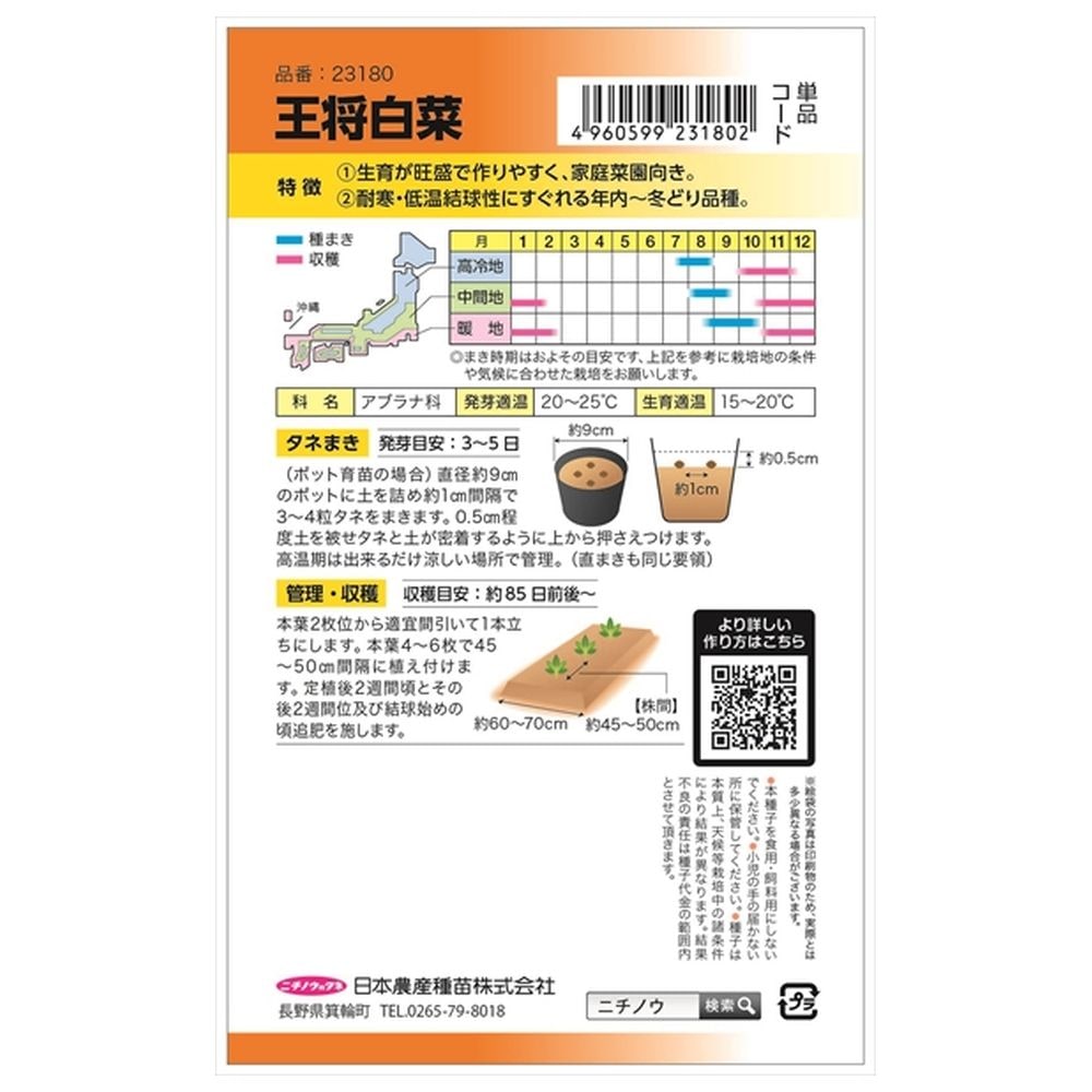 白菜 ﾀｷｲ交配 王将白菜 1