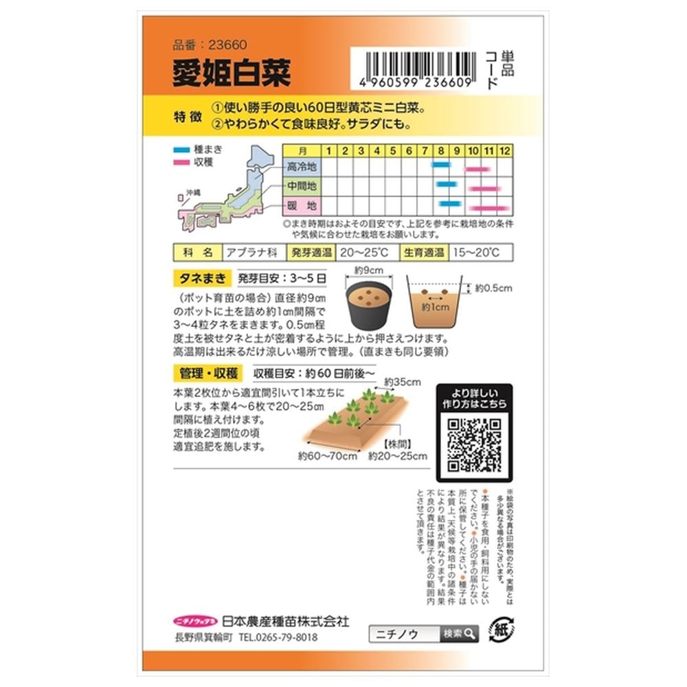 白菜 松島交配 愛姫白菜 1