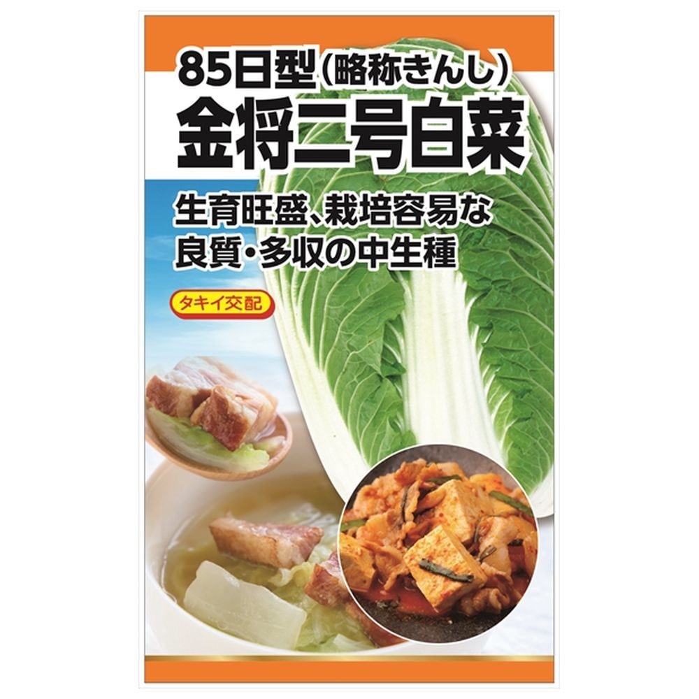 白菜 金将二号白菜 