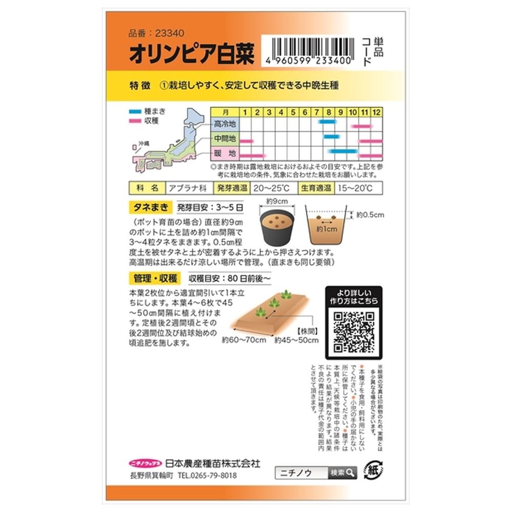 白菜 オリンピア白菜 1
