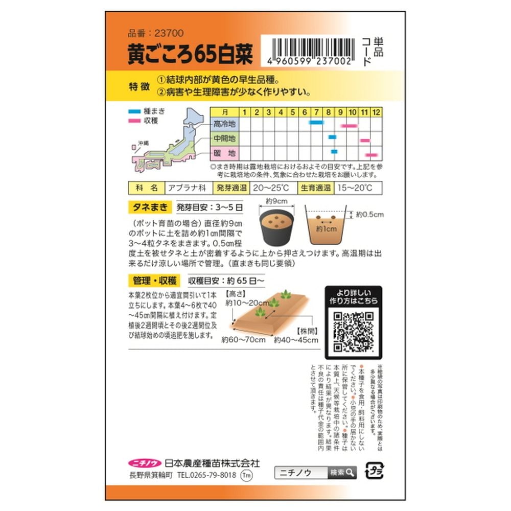 白菜 黄ごころ65日白菜 1
