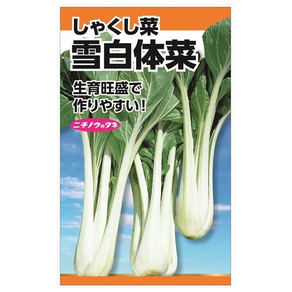タイサイ 雪白体菜 