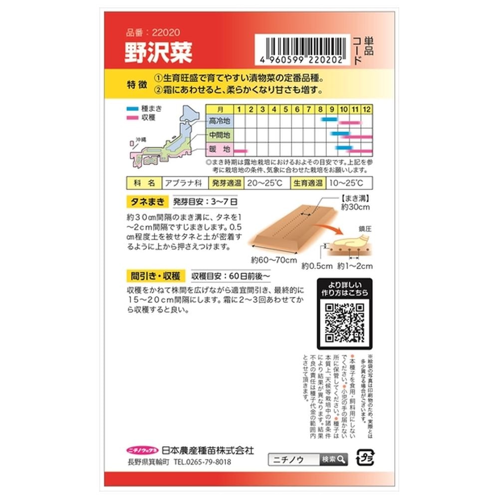 野沢菜 野沢菜 1