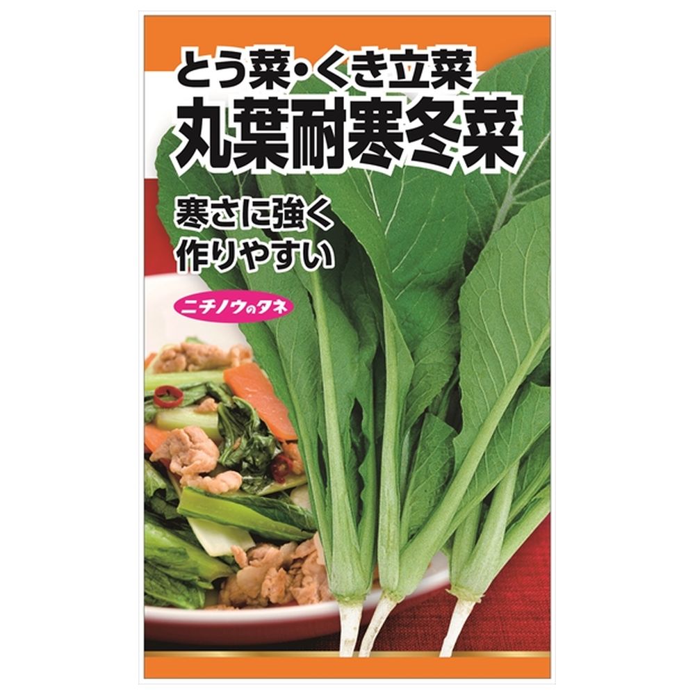 冬菜 丸葉耐寒冬菜 