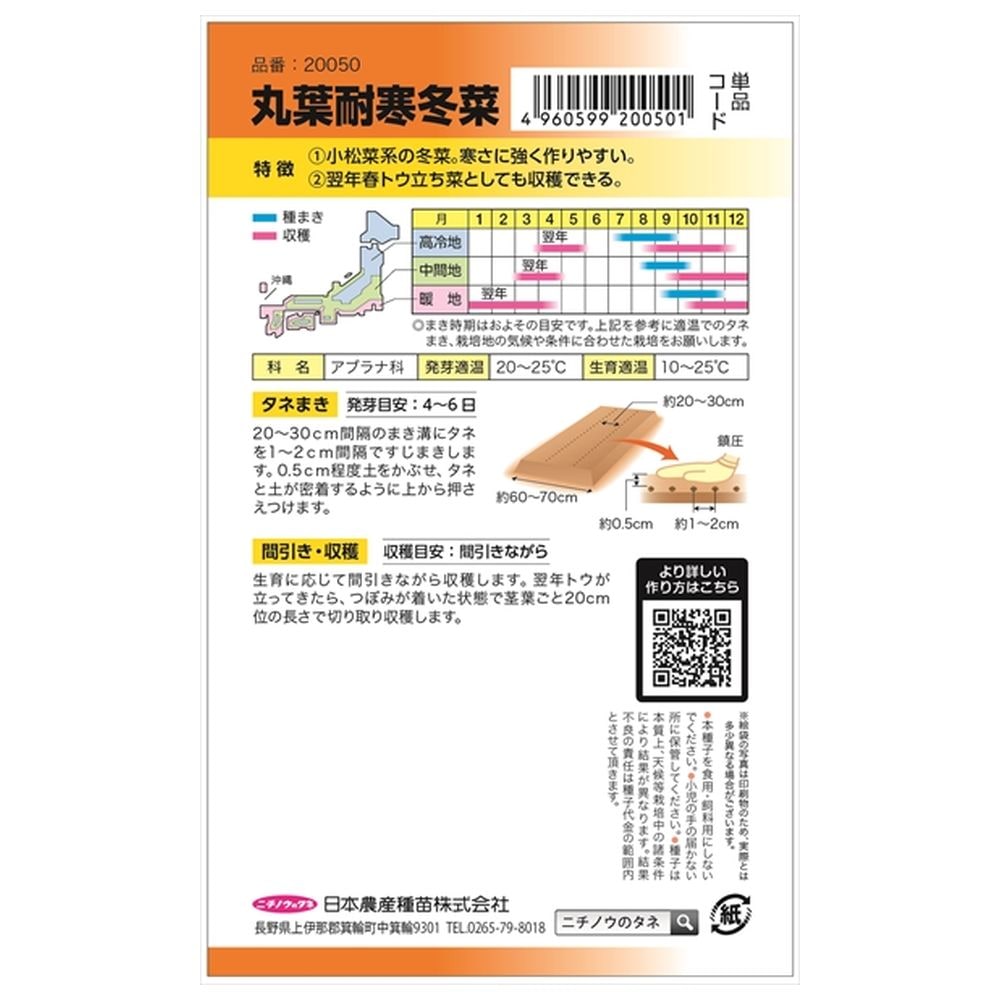冬菜 丸葉耐寒冬菜 1