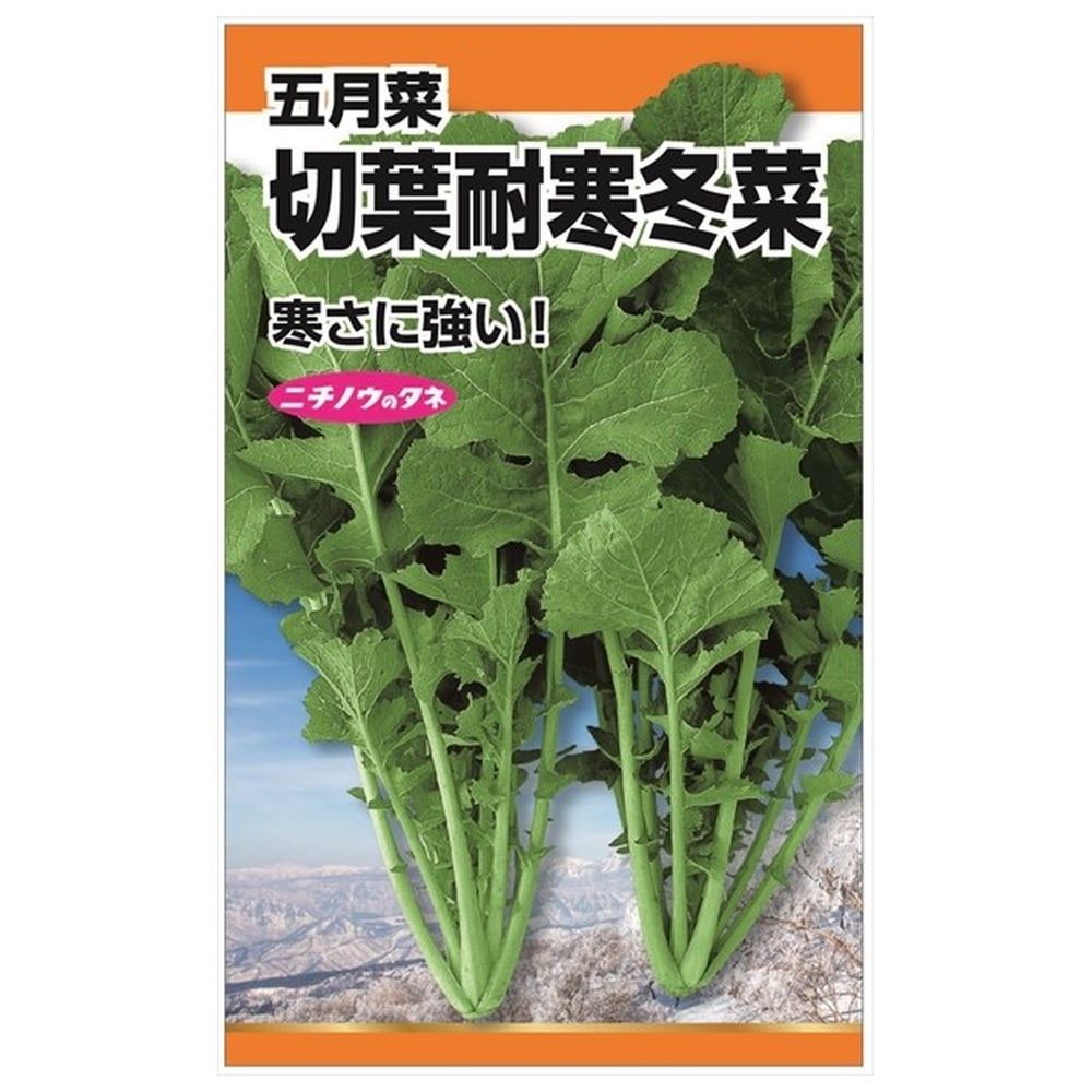 冬菜 切葉耐寒冬菜(五月菜) 