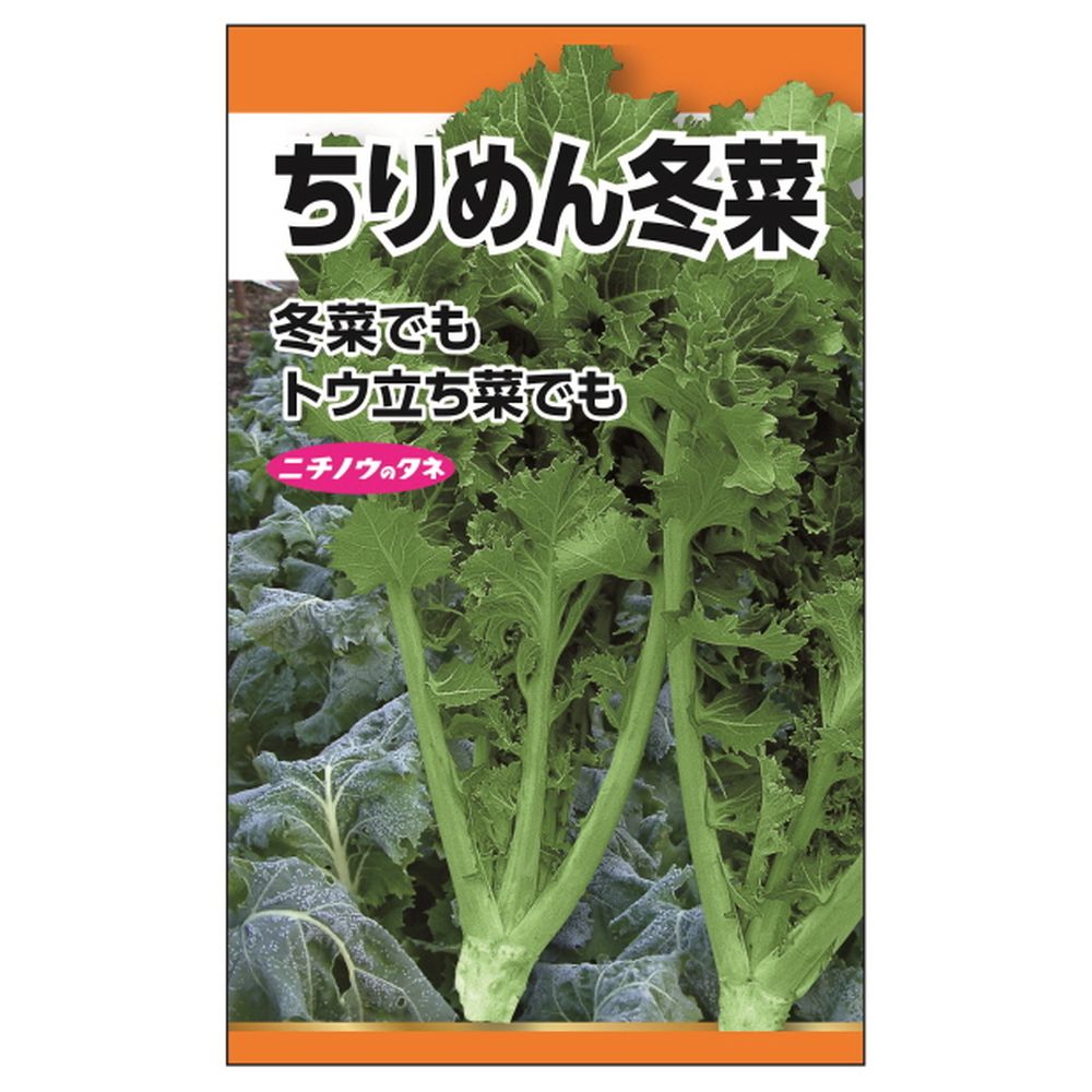 冬菜 ちりめん冬菜 