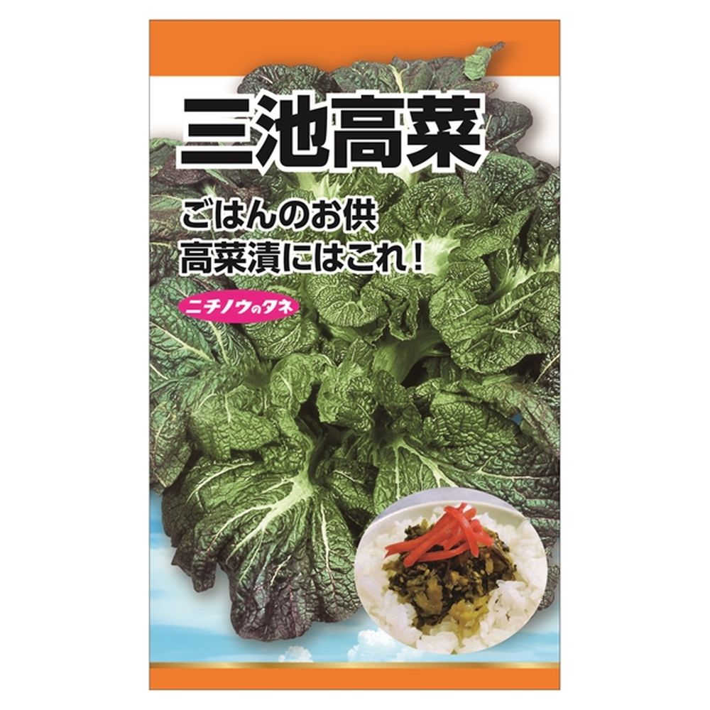 冬菜 三池高菜 1