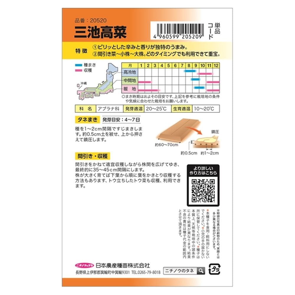 冬菜 三池高菜 1