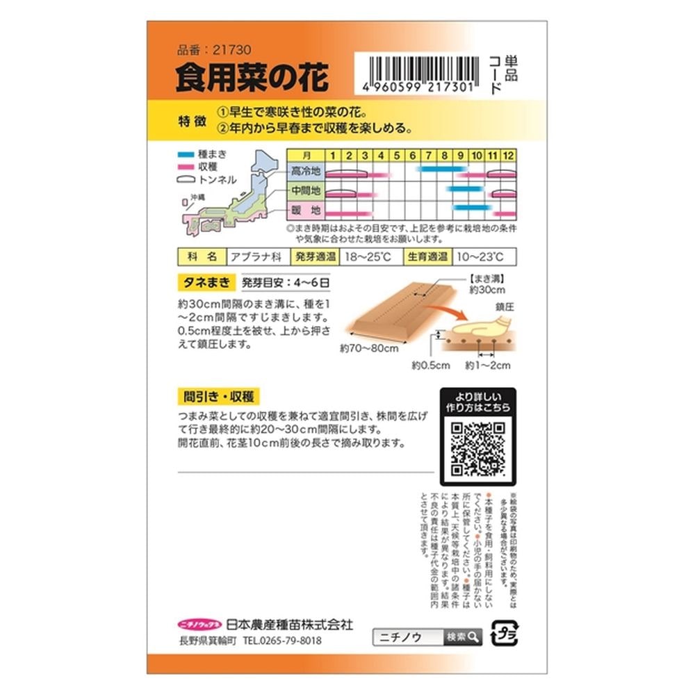 冬菜 食用菜の花(なばな) 1