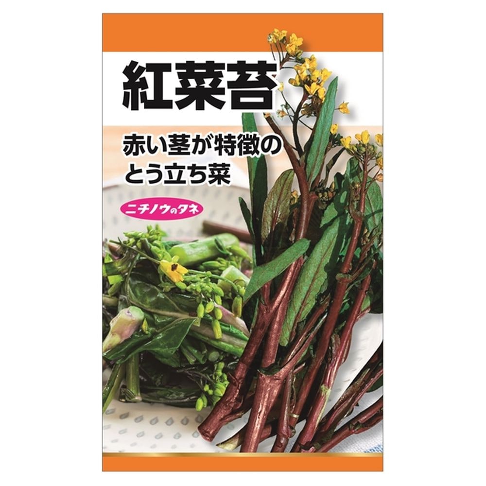 冬菜 紅菜苔 1
