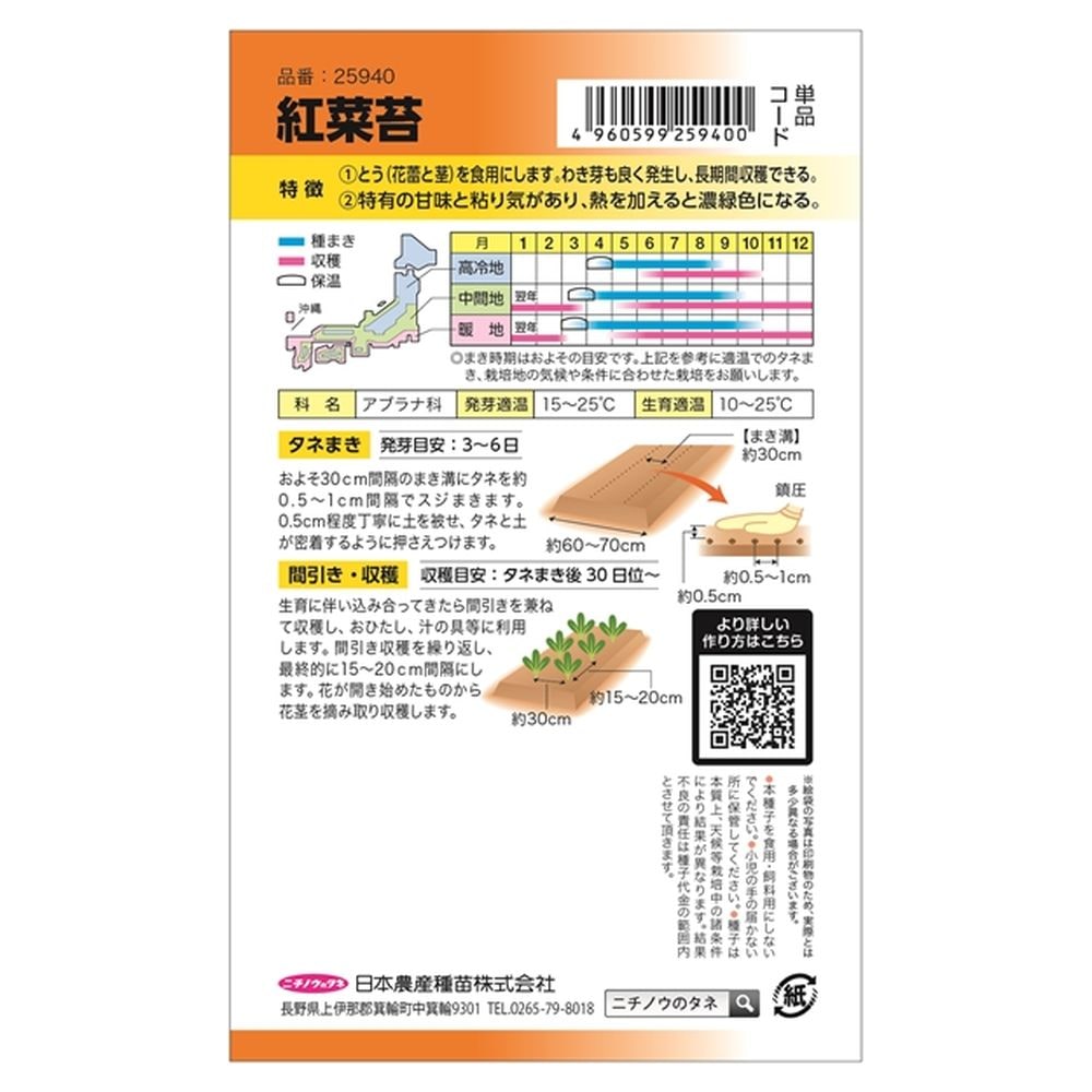 冬菜 紅菜苔 2