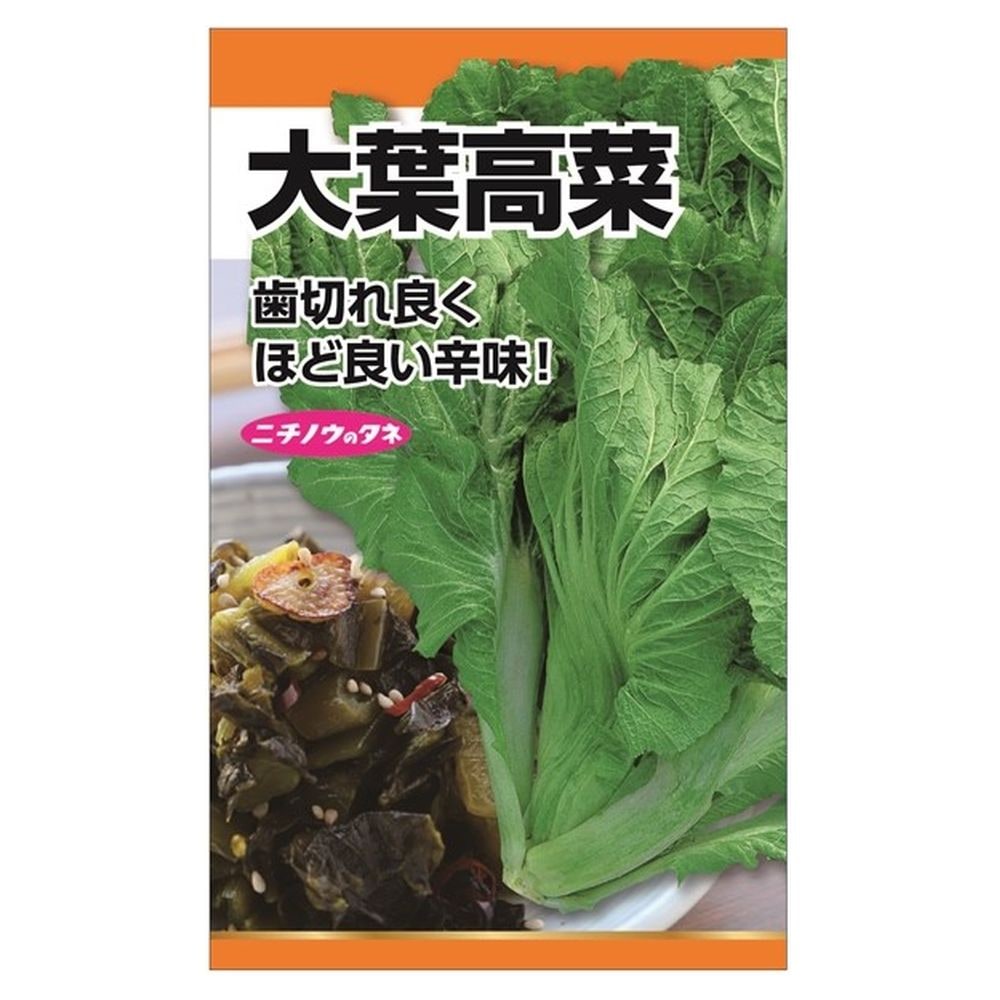 冬菜 大葉高菜 1