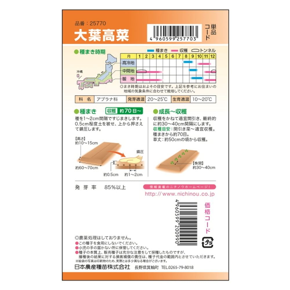 冬菜 大葉高菜 2