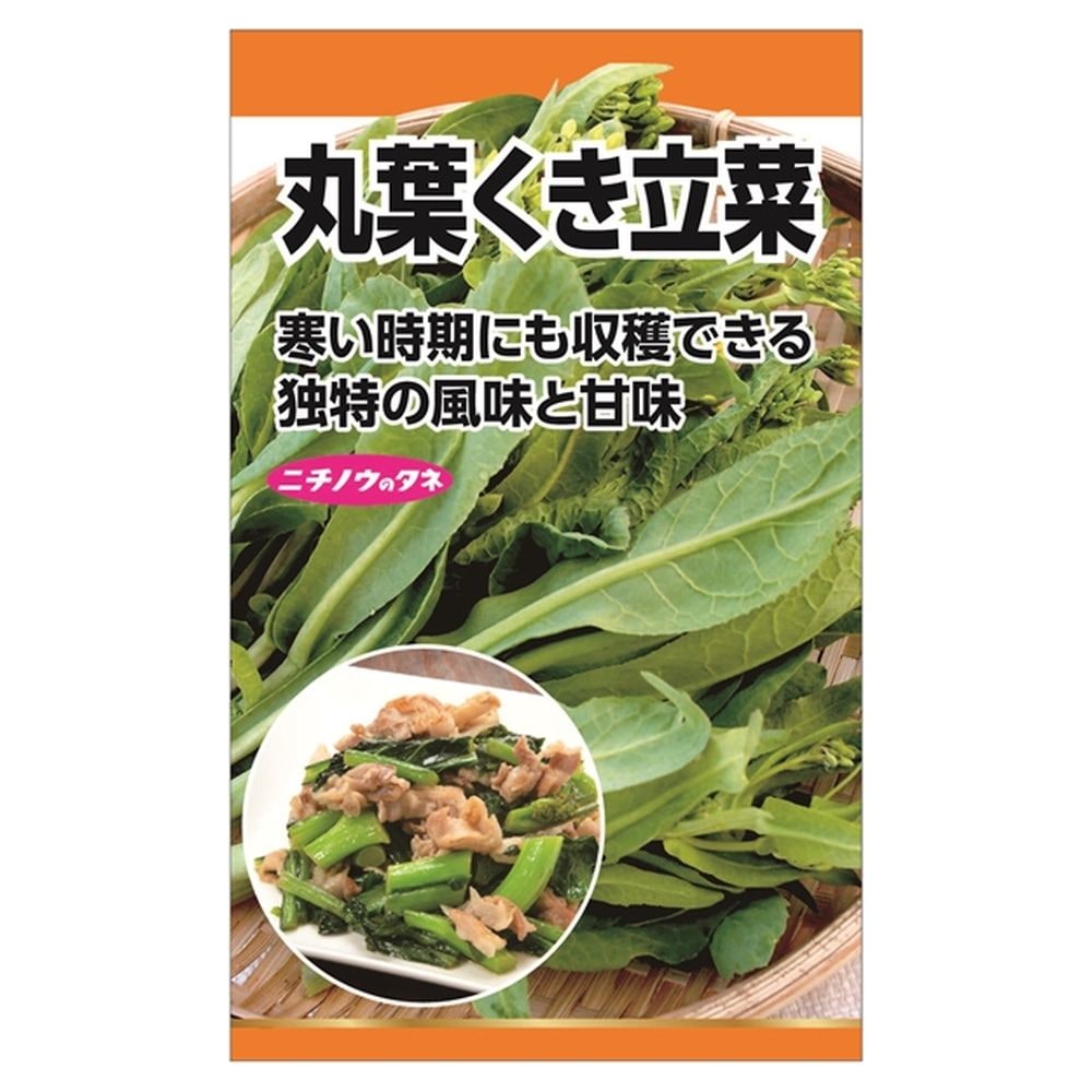 冬菜 くき立菜（丸葉） 1