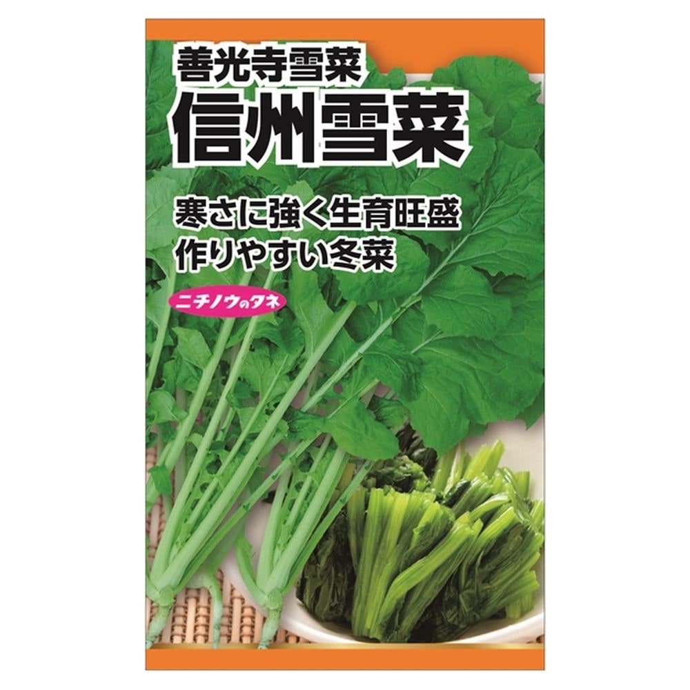 冬菜 信州雪菜(善光寺雪菜) 
