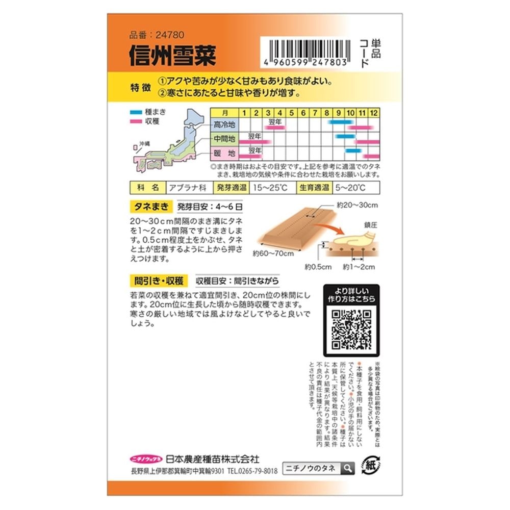 冬菜 信州雪菜(善光寺雪菜) 1