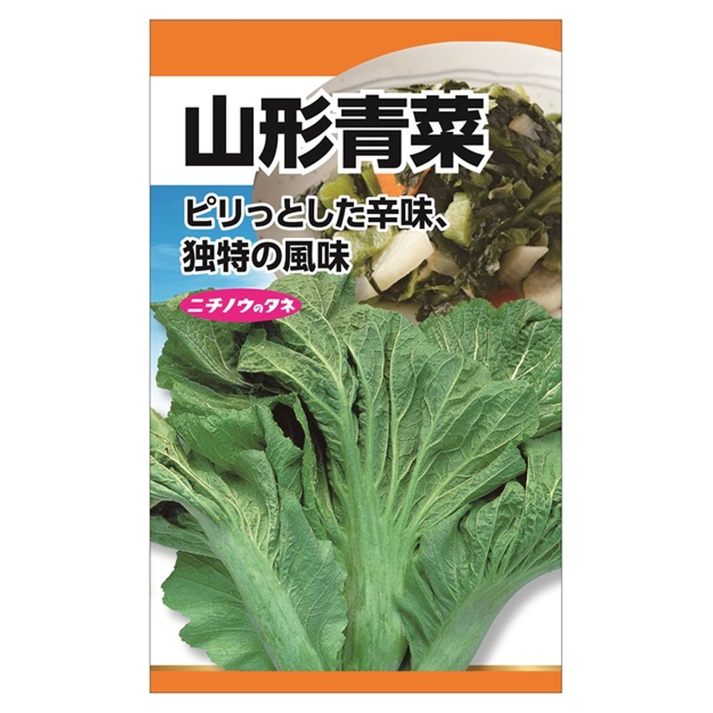 葉菜 山形青菜(清国せいさい) 